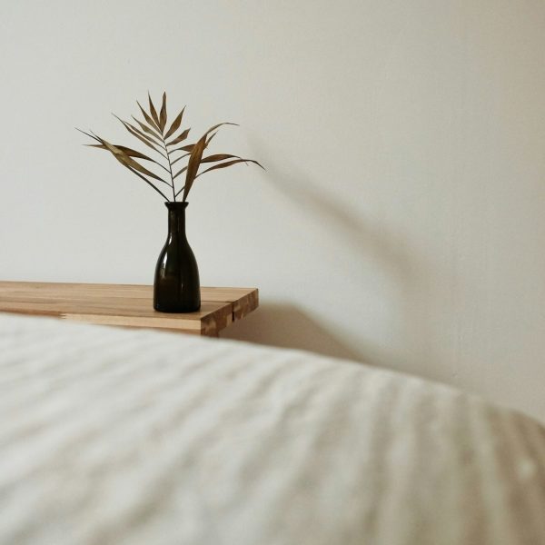 thanos-pal-lPZZXH9sjZU-unsplash